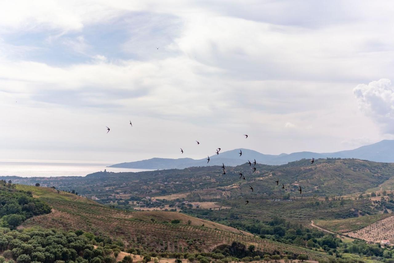 Corte Degli Ulivi Terradura Luaran gambar